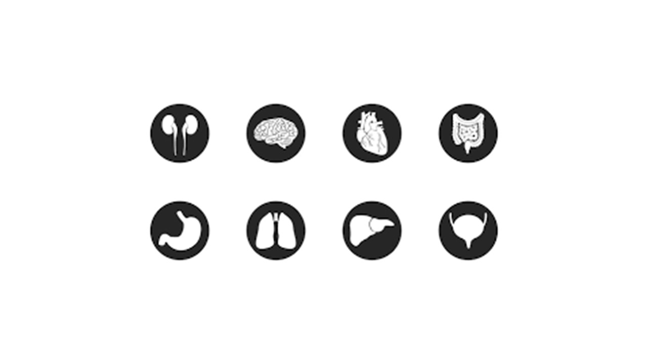 Collections